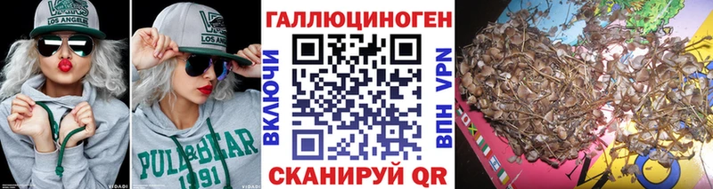Галлюциногенные грибы GOLDEN TEACHER  Купить где  Высоковск 