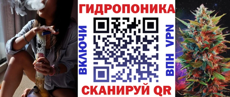 Канабис THC 21%  Купить где  Высоковск 